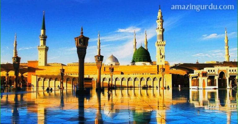 تو شاہ ِانبیا تو حبیب ِخدا