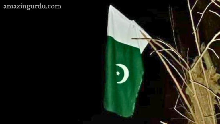 خشک ٹہنی پر سبز پھول