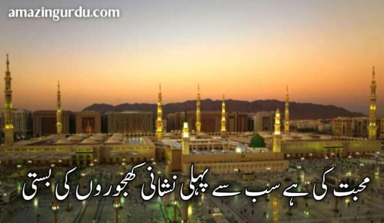 محبت کی ہے سب سے پہلی نشانی کھجوروں کی بستی | مدینہ پر اشعار
