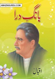 test.amazingurdu.com