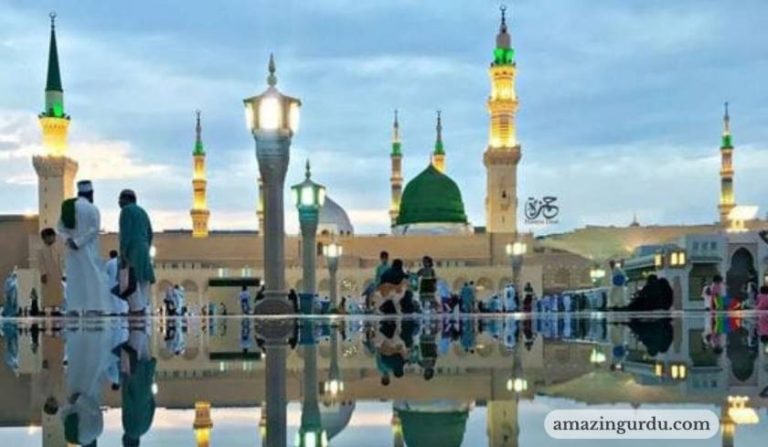بڑی سرکار میں پہنچے بڑا دربار دیکھیں گے | نعت شریف