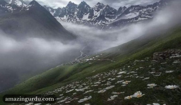 ابھی تو بدلا چمن کا موسم ابھی تو بارش کی ابتداء ہے