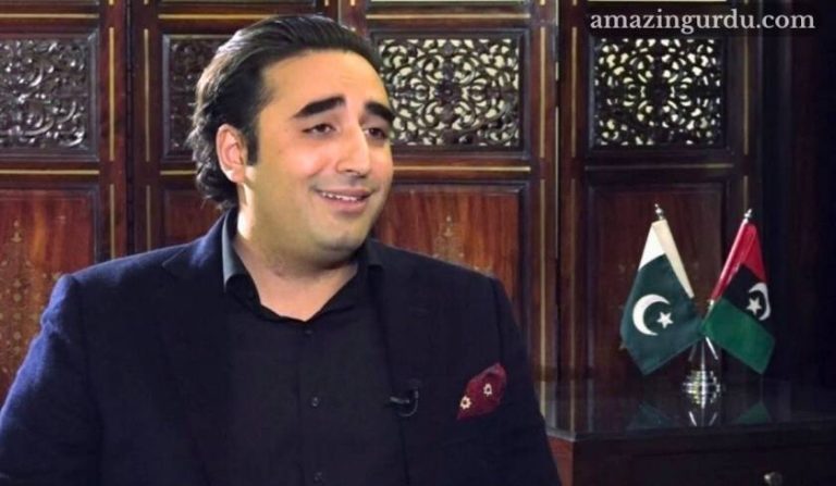 سمندر میں اترتا ہوں تو کانپیں ٹانگ جاتی ہیں ـ بلاول بھٹو زرداری