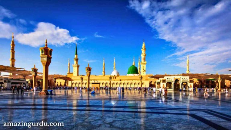 مرے آقا کے جو نقشِ کفِ پا دیکھ لیتے ہیں | نعت شریف