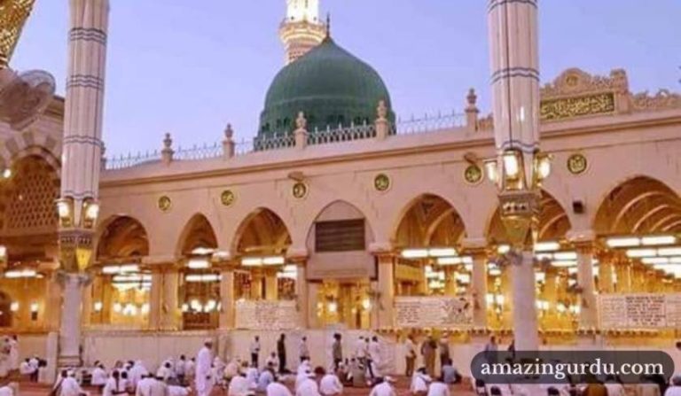 مدینے کی گلیاں دکھا دیجئے | نعت شریف