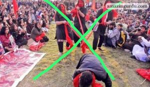 ہم سبز علم کے رکھوالے