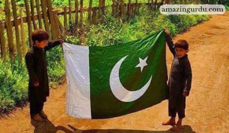 ہم سبز علم کے رکھوالے