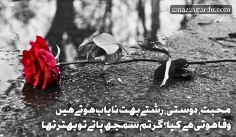 اگر تم میری باتوں کو نہ پھیلاتے تو بہتر تھا | اداس شاعری