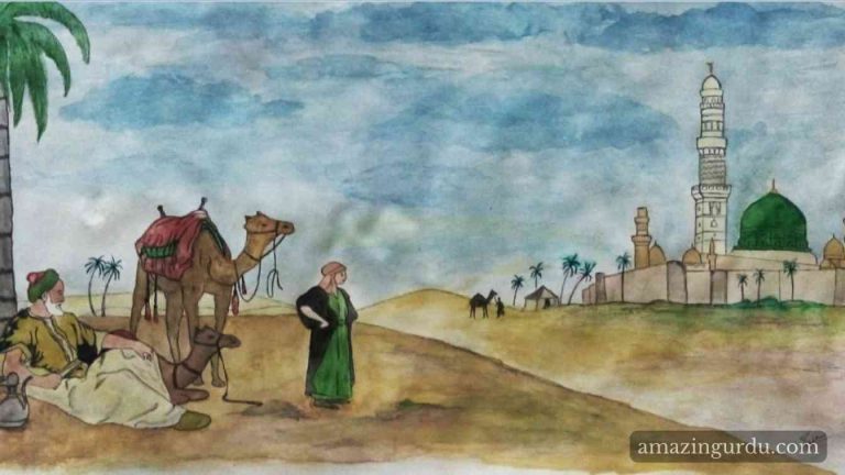 ان کے در جائیں ہم ان کے گھر جائیں ہم | نعت شریف