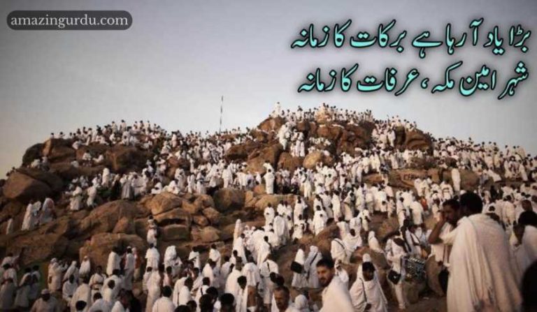 بڑا یاد آ رہا ہے برکات کا زمانہ|حج پر اشعار