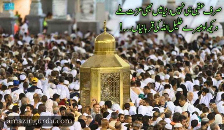 دین کی راہوں میں قربانی نہیں ہے رائیگاں | ابراہیم علیہ السلام
