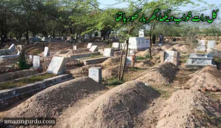کل رات خواب دیکھا گھربار کھو رہا تھا