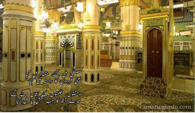 مصطفٰی مل گئے، مقتدا مل گیا | نعت شریف