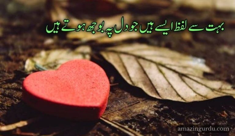 بہت سے لفظ ایسے ہیں جو دل پہ بوجھ ہوتے ہیں