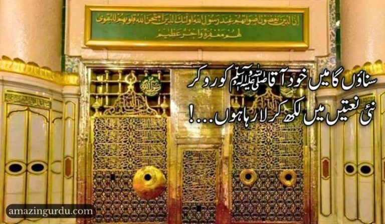 محبت کا مزہ میں پا رہا ہوں| نعت شریف