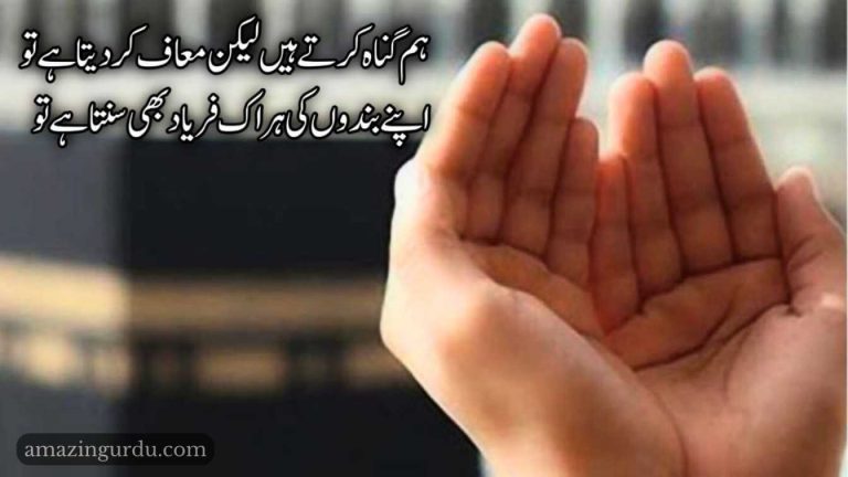 تجھ سے ہیں سب التجائیں اے میرے پروردگار| حمدیہ اشعار