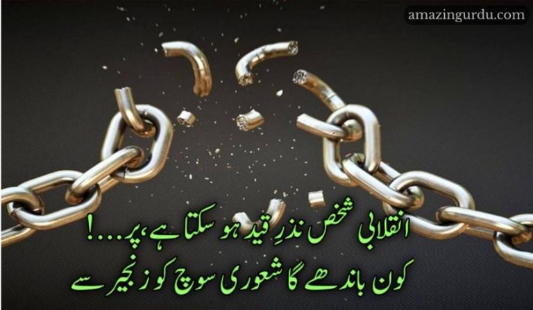 پھول گھائل تک نہیں کانٹوں کی خونی بھیڑ سے | انقلابی شاعری