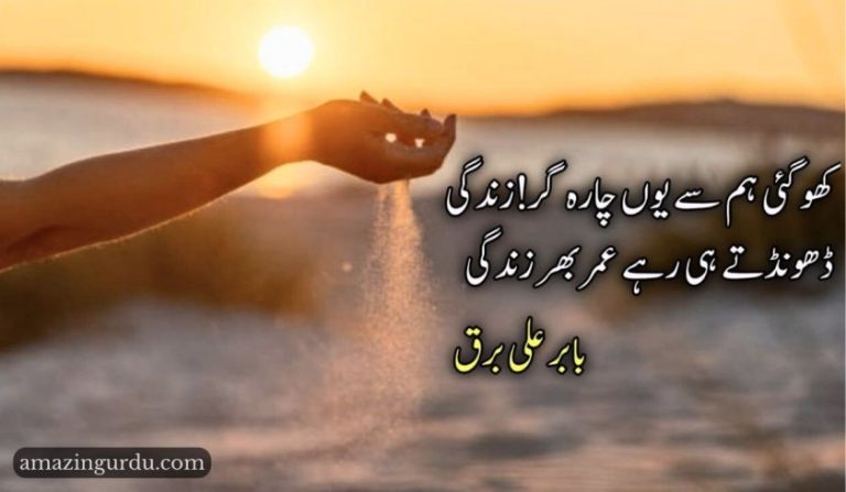 کھو گئی ہم سے یوں چارہ گر ! زندگی