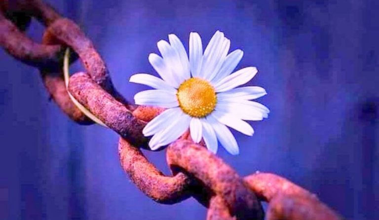 تُو مصروفِ زمانہ ہے تجھے ہم یاد کیا آئیں| دوستی پر شاعری