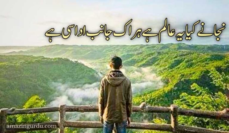 جانے کیا یہ عالم ہے ہر اک جانب اداسی ہے | اداس شاعری