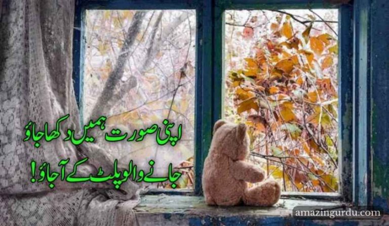 اپنی صورت ہمیں دکھا جاؤ جانے والو پلٹ کے آ جاؤ | اداس شاعری