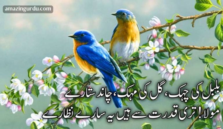 بلبل کی چہک، گل کی مہک، چاند ستارے | بہترین حمدیہ اشعار