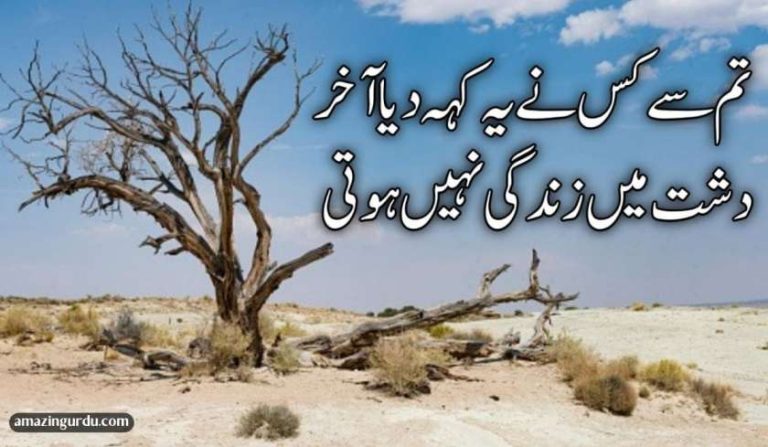 بندہ پرور کبھی نہیں ہوتی۔۔۔۔ ہم سے تو پیروی نہیں ہوتی
