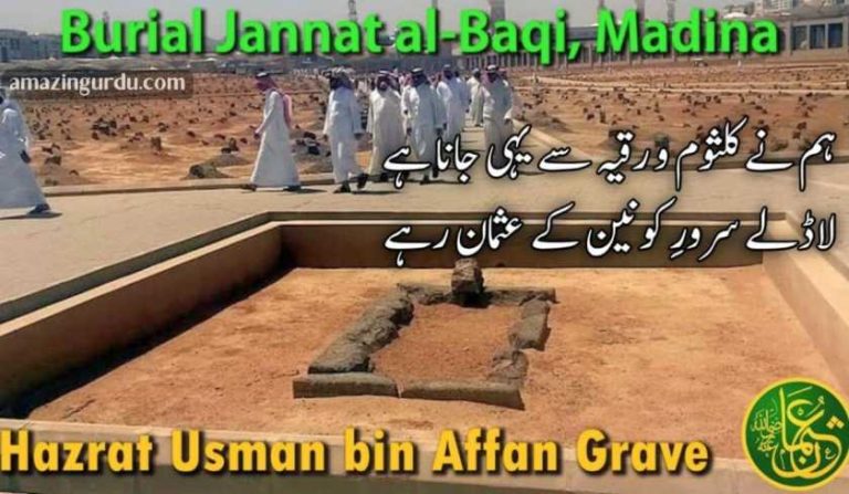 لاڈلے سرورِ کونین کے عثمان رہے | شان صحابہ پر اشعار