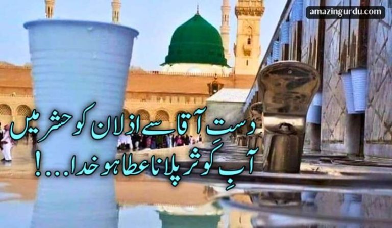 شہرِ آقا میں جانا عطا ہو خدا | دعائیہ کلام