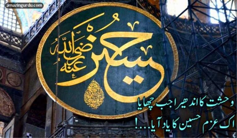 وحشت کا اندھیرا جب چھایا اک عزم حسین کا یاد آیا