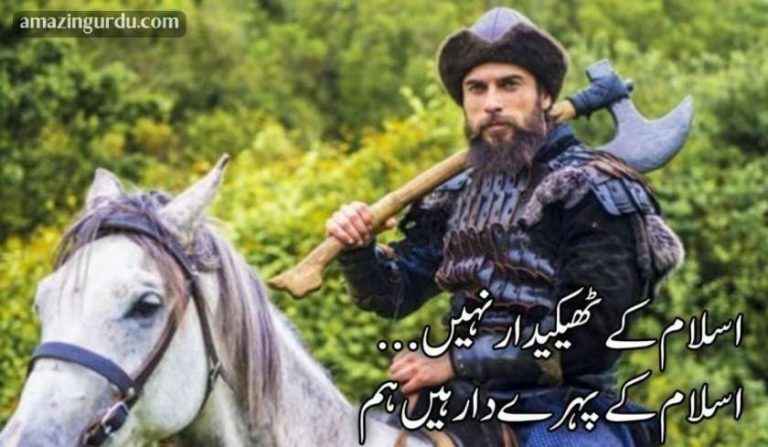 اسلام کے ٹھیکیدار نہیں اسلام کے پہرے دار ہیں ہم | اسلامی شاعری