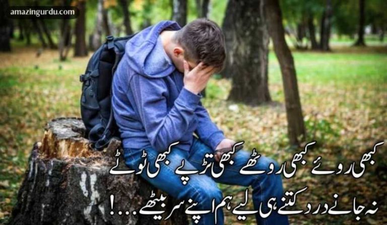 ہوئی ہم کو غلط فہمی بھروسہ تجھ پہ کر بیٹھے| اداس شاعری