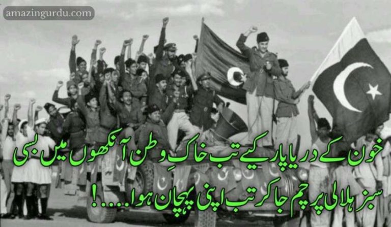 ایک نہیں کتنی نسلوں کا مستقبل قربان ہوا|یوم ازادی پاکستان