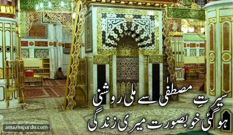 سیرت مصطفٰی سے ملی روشنی | نعت شریف