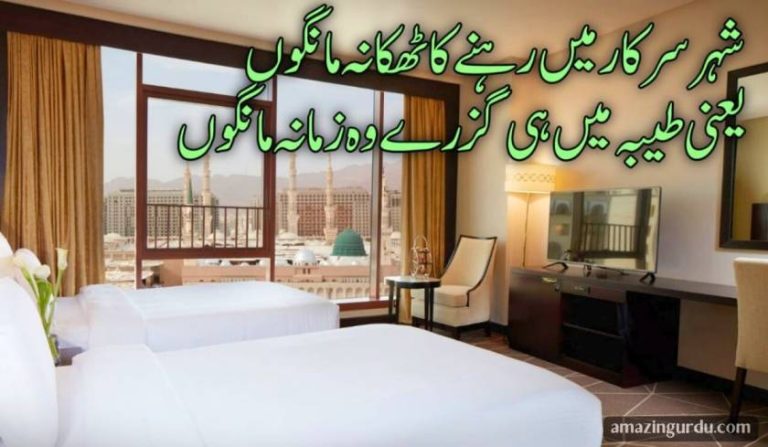 شہر سرکار میں رہنے کا ٹھکانہ مانگوں | نعت شریف
