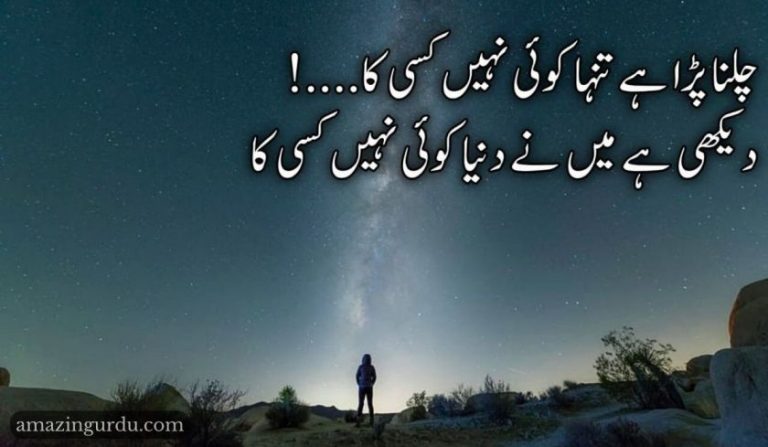 چلنا پڑا ہے تنہا کوئی نہیں کسی کا|مطلبی دوست شاعری