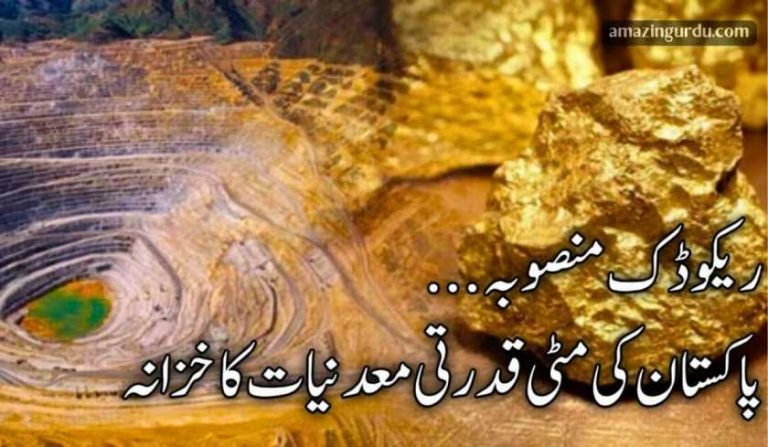 ریکوڈک منصوبہ | پاکستان کی مٹی قدرتی معدنیات کا خزانہ