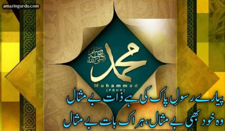 پیارے رسول پاک کی ہے ذات بے مثال | نعت شریف