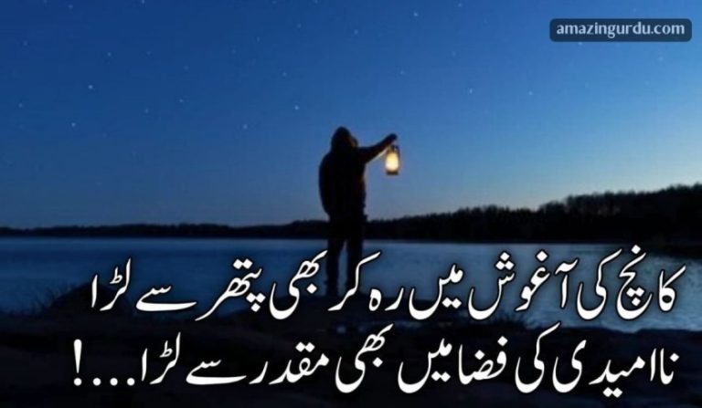 کانچ کی آغوش میں رہ کر بھی پتھر سے لڑا | امید پر شاعری