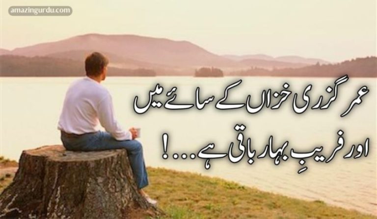 یاد کا اک حصار باقی ہے دو جہانوں کا بار باقی ہے | اداس شاعری
