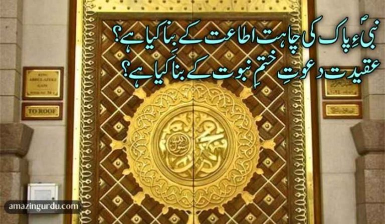 نبیؐءِ پاک کی چاہت اطاعت کے بِنا کیا ہے ؟ نعت شریف