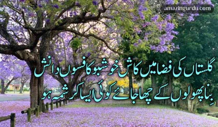 ہمیں بھی صبر آجائے کوئی ایسا کرشمہ ہو | اداس اردو شاعری