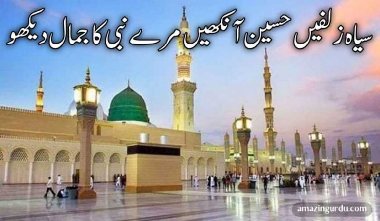 سیاہ زلفیں حسین آنکھیں مرے نبی کا جمال دیکھو | نعت شریف