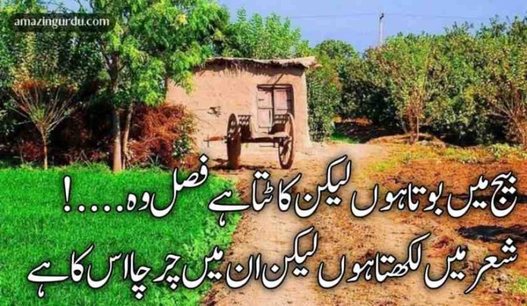 شعر اچھا ہو گیا ہے پر یہ آدھا اس کا ہے | خوبصورت اردو شاعری