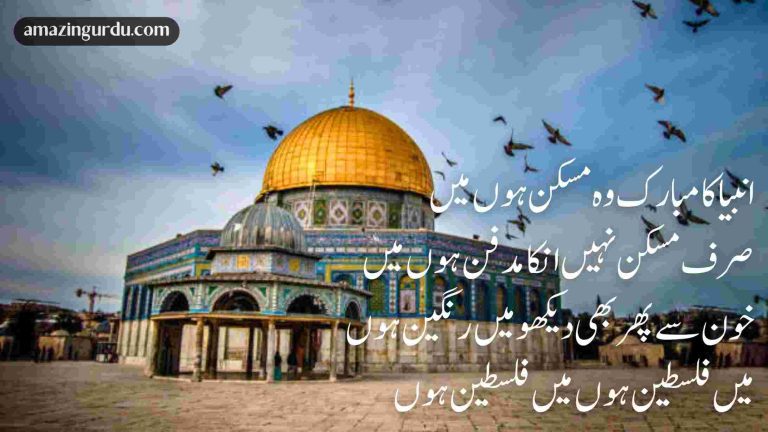 سر زمیںِ اَمَاْ ہو کے غمگین ہوں میں فلسطین ہوں میں فلسطین ہوں