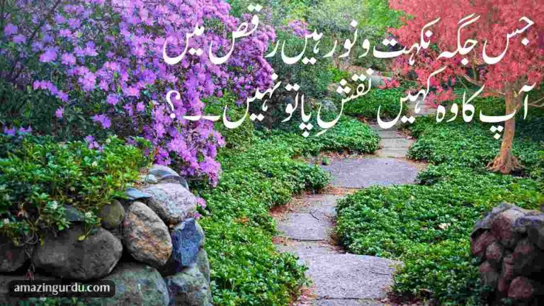 اس کے پاؤں پڑوں؟ یہ انا تو نہیں وہ بھی اک آدمی ہے خدا تو نہیں | دلکش اردو شاعری