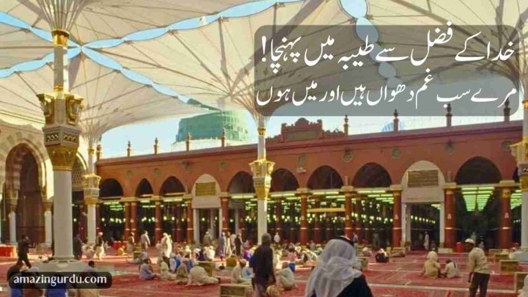 یہ پیارے سائباں ہیں اور میں ہوں نبی جی میزباں ہیں اور میں ہوں | نعت شریف