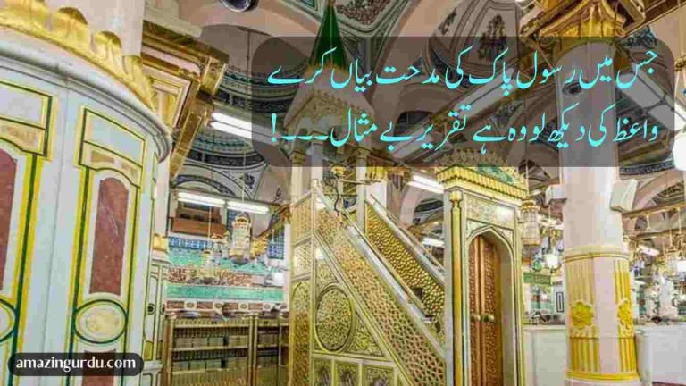 سرکار سے ہے پھیلی یہ تنویر بے مثال | نعت شریف اردو
