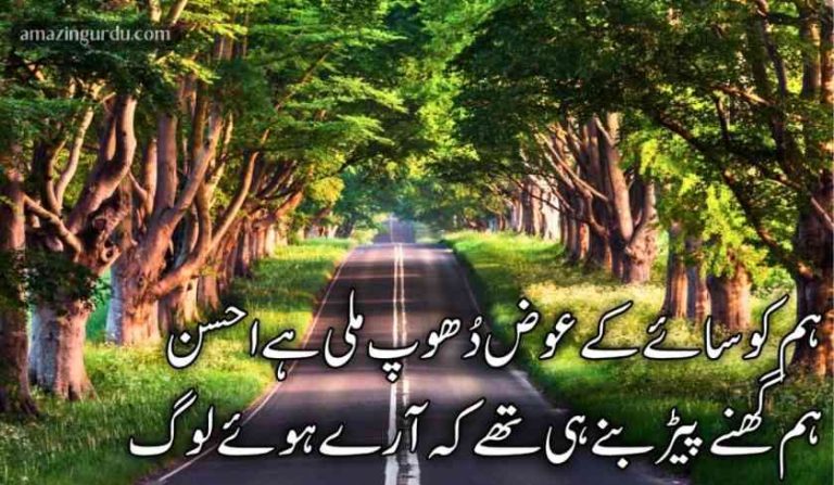 تو بتا دے کہاں جائیں سبھی ہارے ہوئے لوگ |اداس اردو شاعری