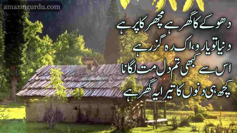 دھوکے کا گھر ہے مچھر کا پر ہے دنیا تو یارو اک رہگزر ہے| دنیا کی بے ثباتی پر اشعار